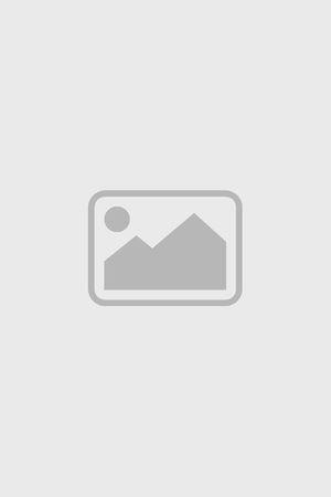 《除恶（2026）》宣传海报